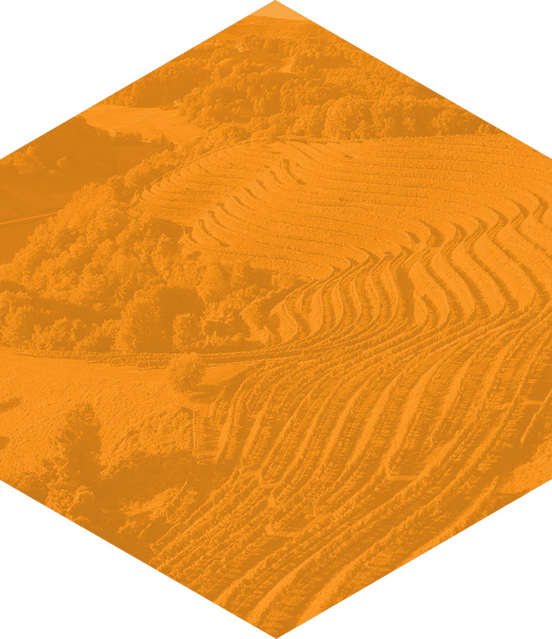podstran background2